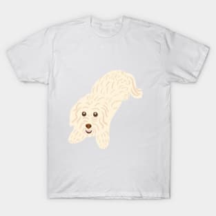 Cute Maltipoo T-Shirt